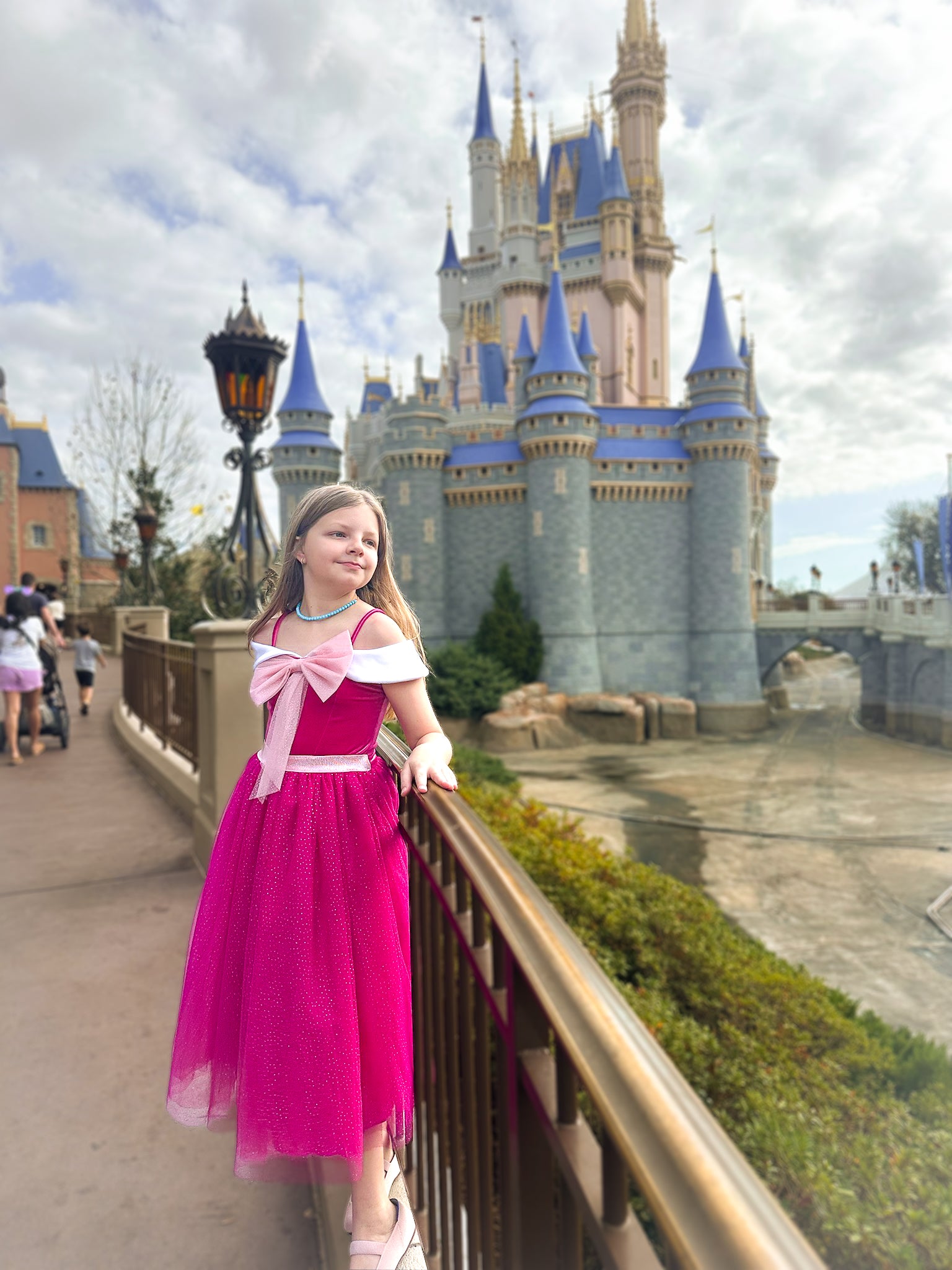 The Pink Cinderella Dress – Joy Costumes