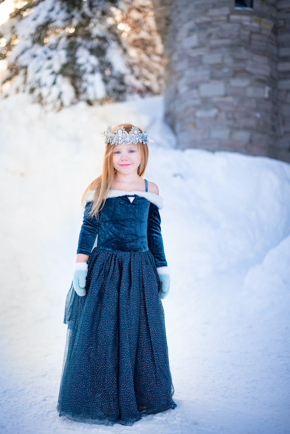 blue ice queen dress The Ice Queen Costume Dress by Joy Costumes, M (6-8 years)