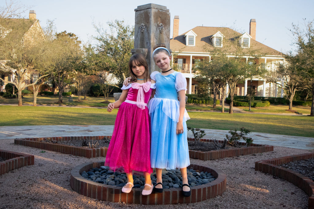 The Pink Cinderella Dress – Joy Costumes
