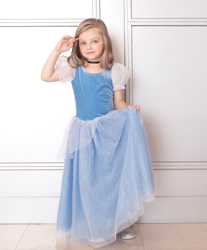 The Princess Cinderella Blue Costume Dress The Princess Cinderella Blue Costume Dress