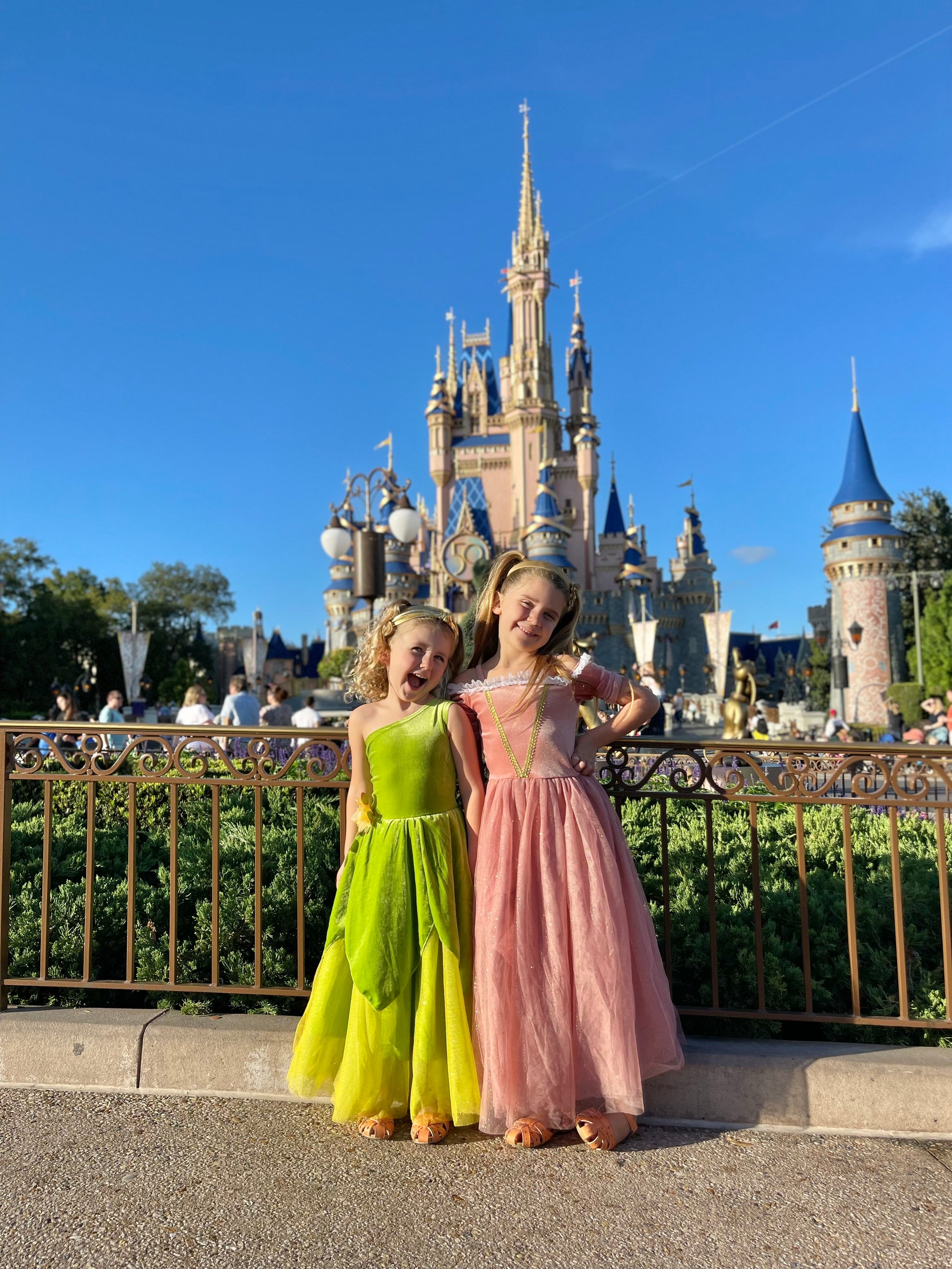 The Frog Princess/Tinker Fairy Duo Costume Dress – Luxury Kids Costume by  Teresita Orillac – Joy Costumes