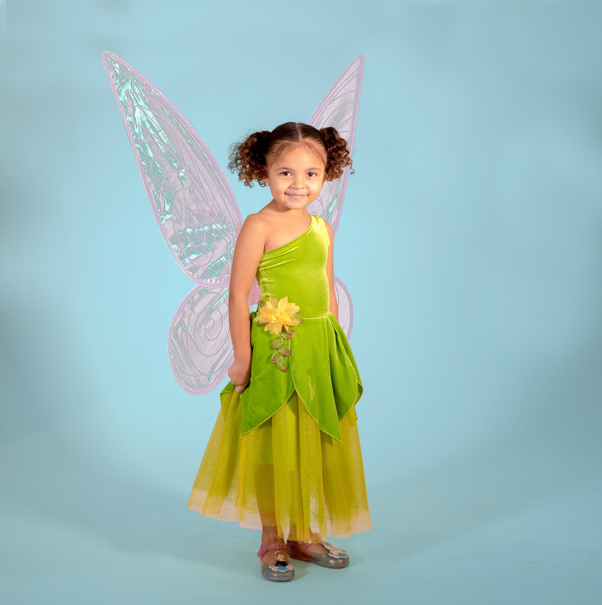 The Frog Princess/Tinker Fairy Duo Costume Dress Luxury Kids Costume by Teresita Orillac Joy Costumes The Frog Princess/Tinker Fairy Duo Costume Dress Luxury Kids Costume by Teresita Orillac Joy Costumes